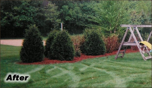 Competitive Edge Spring Lawn Services Services | Waukesha, Oconomowoc, Delafield, Brookfield, Menomonee Falls, Pewaukee, Wisconsin