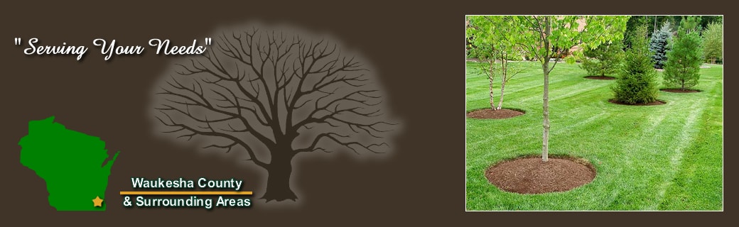 Competitive Edge Lawn Maintenance Services | Waukesha, Oconomowoc, Delafield, Brookfield, Menomonee Falls, Pewaukee, Wisconsin