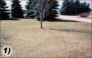 Competitive Edge Spring Lawn Services Services | Waukesha, Oconomowoc, Delafield, Brookfield, Menomonee Falls, Pewaukee, Wisconsin