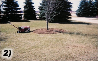 Competitive Edge Spring Lawn Services Services | Waukesha, Oconomowoc, Delafield, Brookfield, Menomonee Falls, Pewaukee, Wisconsin