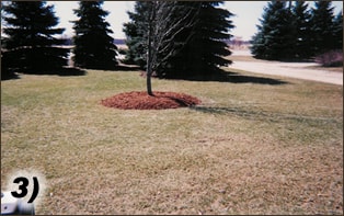 Competitive Edge Spring Lawn Services Services | Waukesha, Oconomowoc, Delafield, Brookfield, Menomonee Falls, Pewaukee, Wisconsin