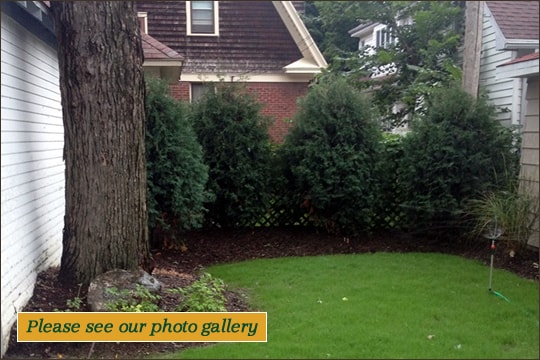 Competitive Edge Spring Lawn Services Services | Waukesha, Oconomowoc, Delafield, Brookfield, Menomonee Falls, Pewaukee, Wisconsin